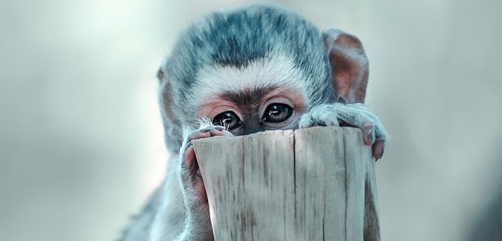 Springfield, retratando a la Tierra