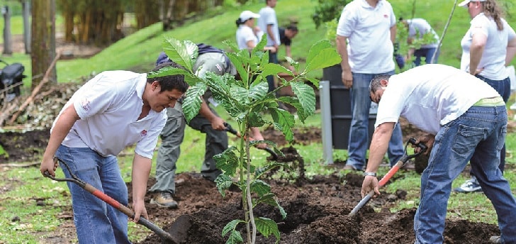 Personas plantando árboles ‘Buy one, give one’: responsabilidad social corportaiva en cada venta