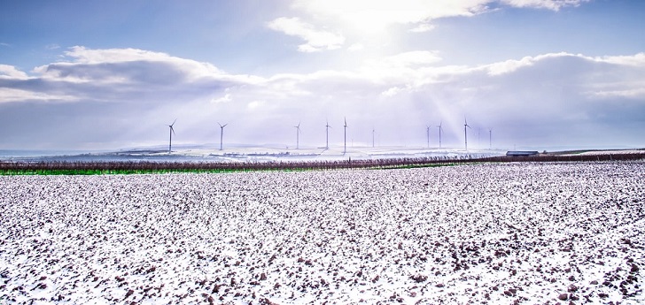 El algodón ‘eco’ continúa ganando terreno: copa el 22% de la producción mundial
