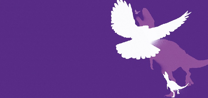 Objetivo 2020: Los fenómenos de la década 