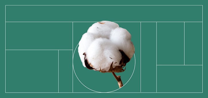La trampa del algodón orgánico