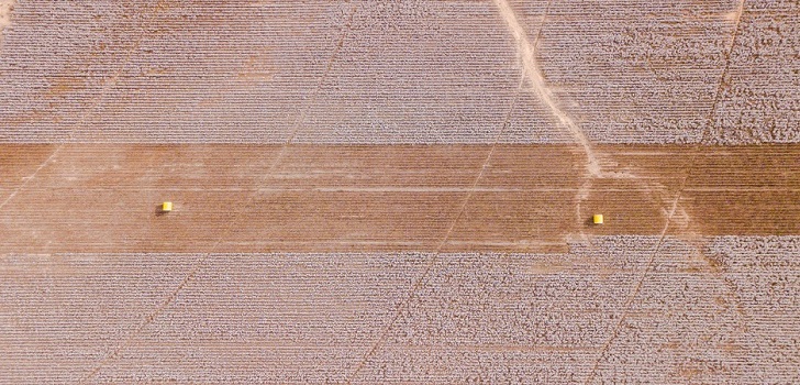 Plantación de algodón El consumo de algodón se recuperará en 2021 con una subida del 5%