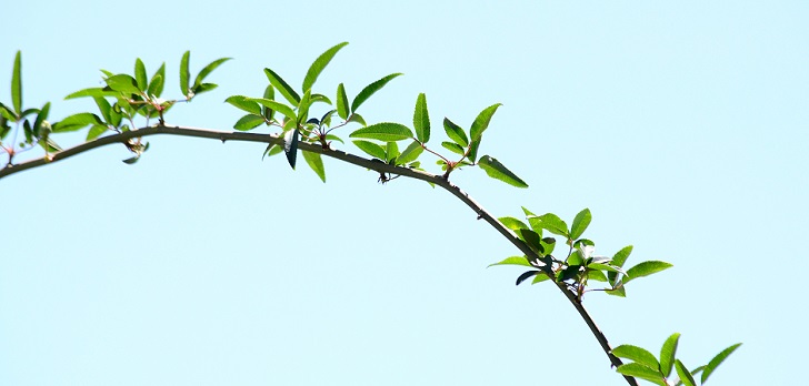 El coste de aparcar la sostenibilidad durante la pandemia: los &lsquo;eco&rsquo; ser&aacute;n l&iacute;deres tras la crisis