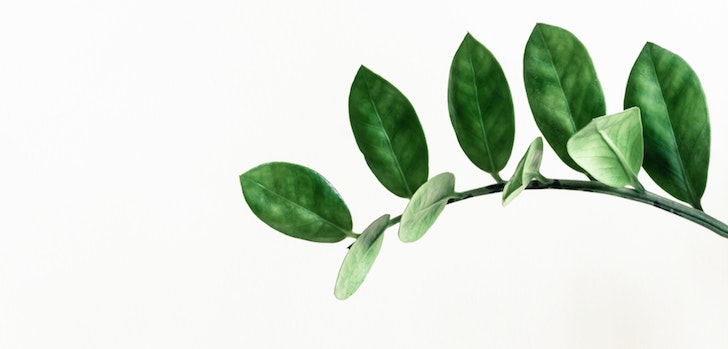 Insuficientes, inespec&iacute;ficos y poco independientes: las asignaturas pendientes de los sellos verdes