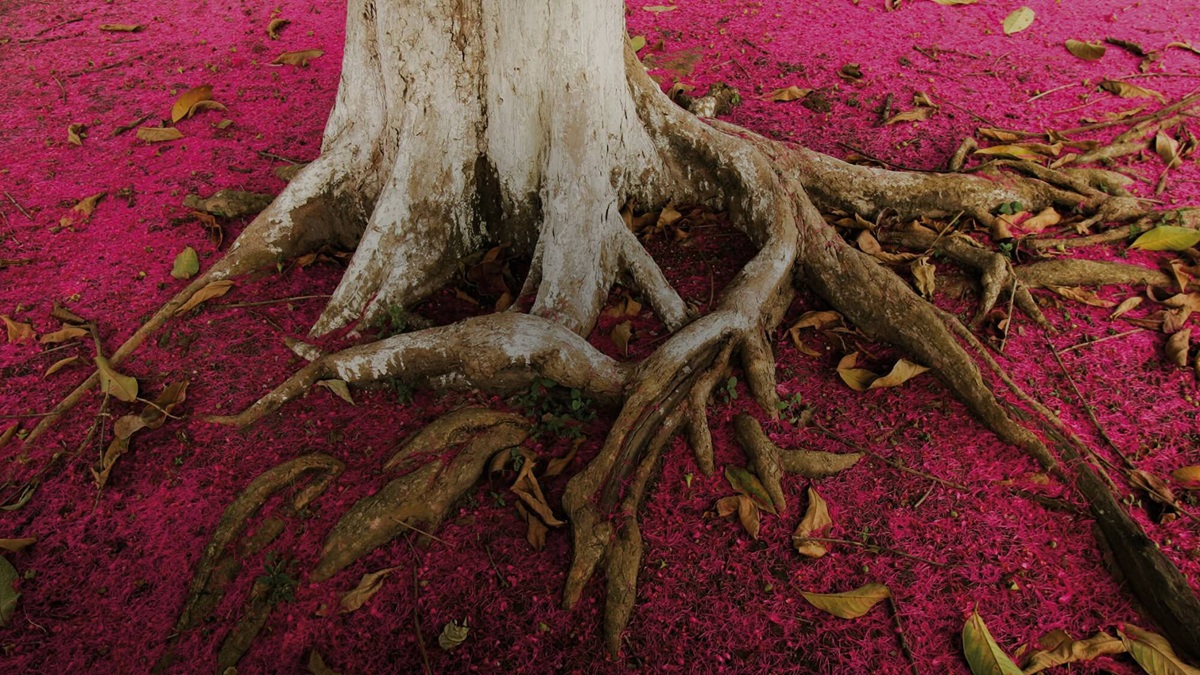Si nada de lo que hace Patagonia es sostenible, &iquest;qu&eacute; lo es?