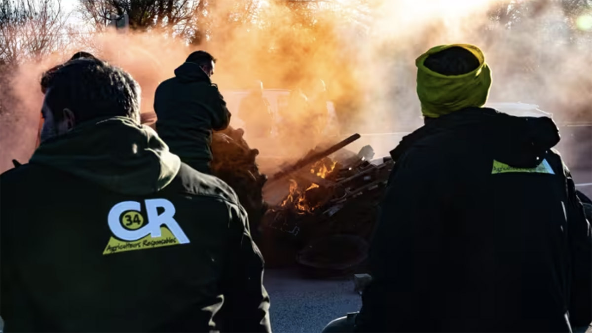 protestas agricolas revolta pagesa