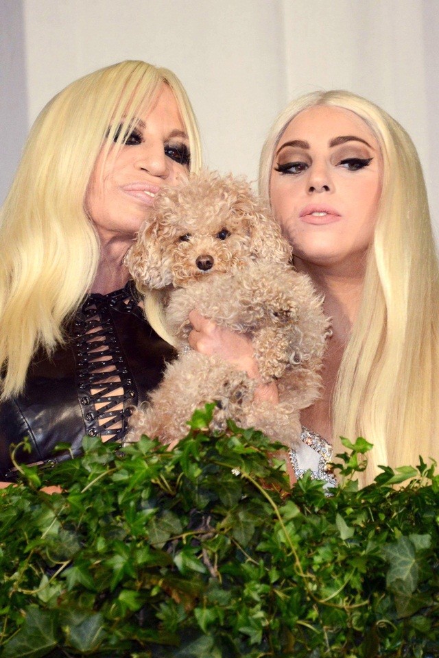 Lady Gaga para Versace