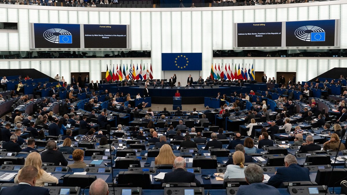 European Parliament Faces Pressure Over Postponed Deforestation Law Implementation