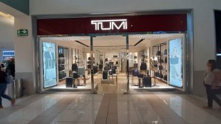 David Group’s Expansion Drive: Ends Year with 60 New Stores in Latin America