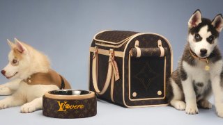 Travel in Style: Louis Vuitton Elevates Pets with Luxe Business-Class Collection