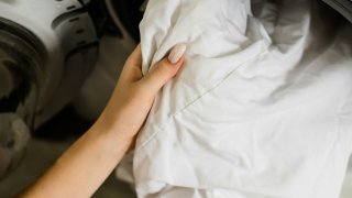 Affordable T-Shirts Outperform Luxury in Durability, Study Finds