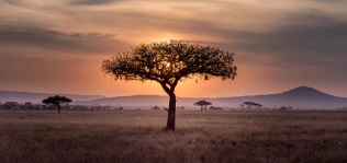 África: la eterna promesa es todavía un páramo para el ‘sourcing’