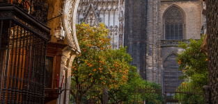 Sevilla y Barcelona, en el ‘top’ 5 de las ciudades turísticas más sostenibles del mundo