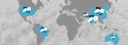 El mapa del algodón: los mayores productores, en cifras