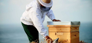Guerlain y la Unesco, las salvadoras de abejas