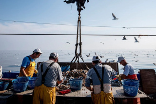 Ecoalf combate la basura marina en el levante español