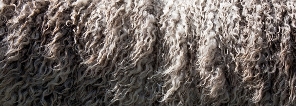 Nueva alianza para crear una colección con lana reutilizada