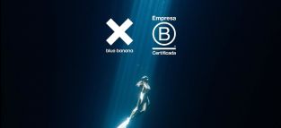 Un paso más hacia la sostenibilidad: Blue banana se certifica como empresa B Corp