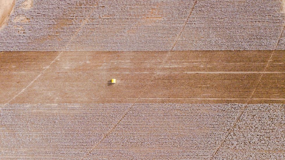 Estados Unidos suspende a 26 empresas chinas por posibles violaciones de trabajo forzoso