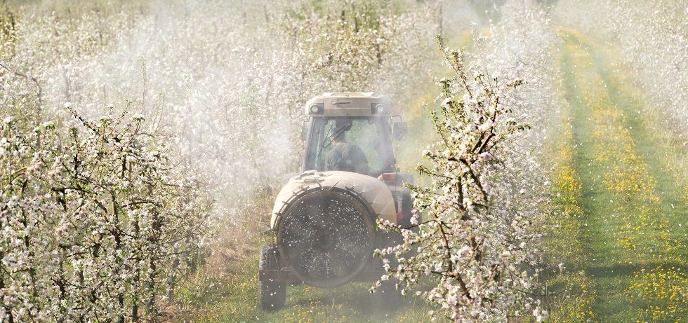 Better Cotton compromete financiación para impulsar el cultivo de algodón en India