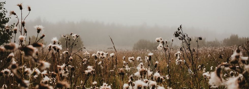 La moda ‘escapa’ de China: el veto a Xinjiang fuerza a cambiar el mapa al 95% de las empresas