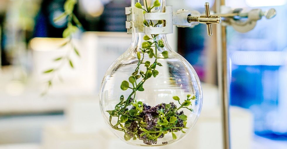 L’Oréal crea piel en 3D