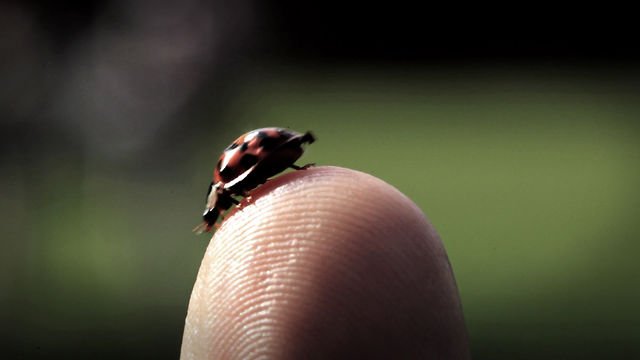 Un segundo con Montblanc