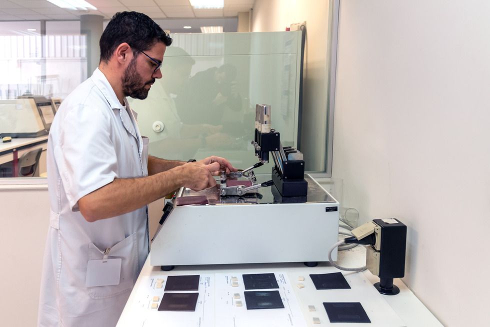 Los &lsquo;m&aacute;sters&rsquo; del cuero