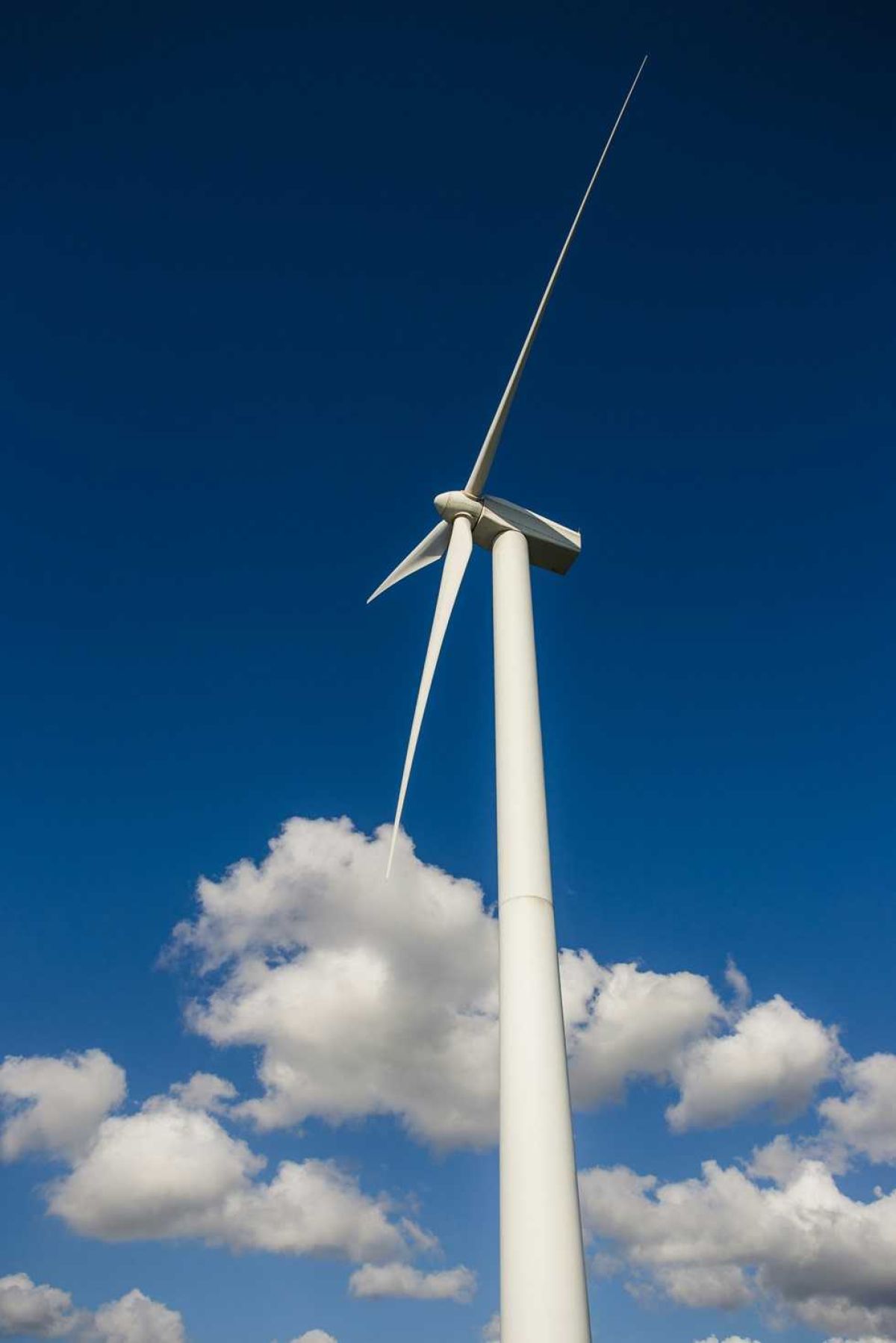 Inditex invertir&aacute; 21,7 millones en un parque e&oacute;lico en el puerto de A Coru&ntilde;a