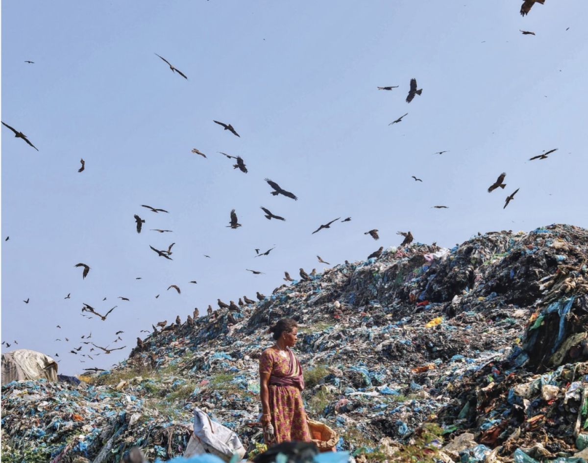 Tres de cada cuatro empresas generan un 25% de excedente tras cada colecci&oacute;n