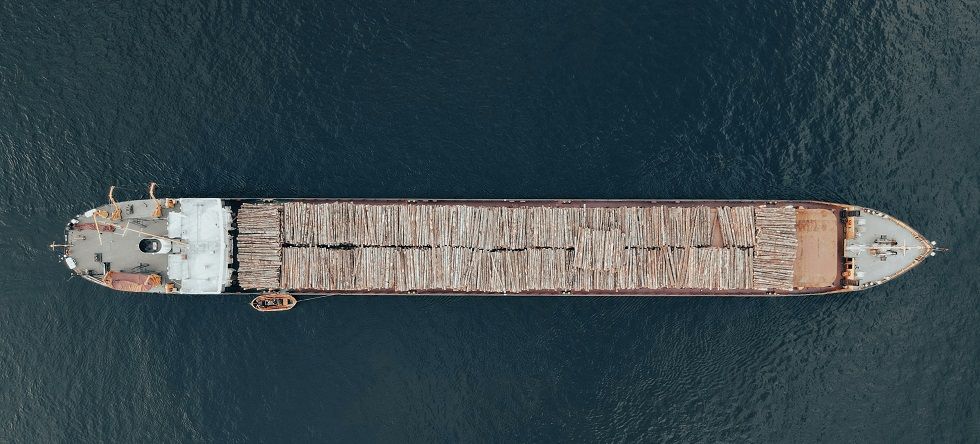 M&aacute;s all&aacute; de las emisiones, &iquest;qu&eacute; dicen los cinco gigantes de la moda sobre biodiversidad?