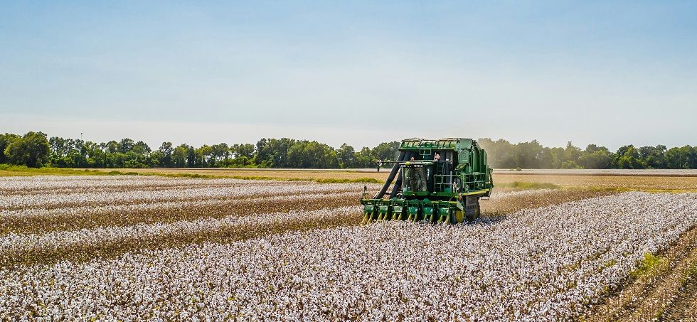 Hugo Boss compromete 500.000 euros en tres a&ntilde;os para impulsar el algod&oacute;n regenerativo en India