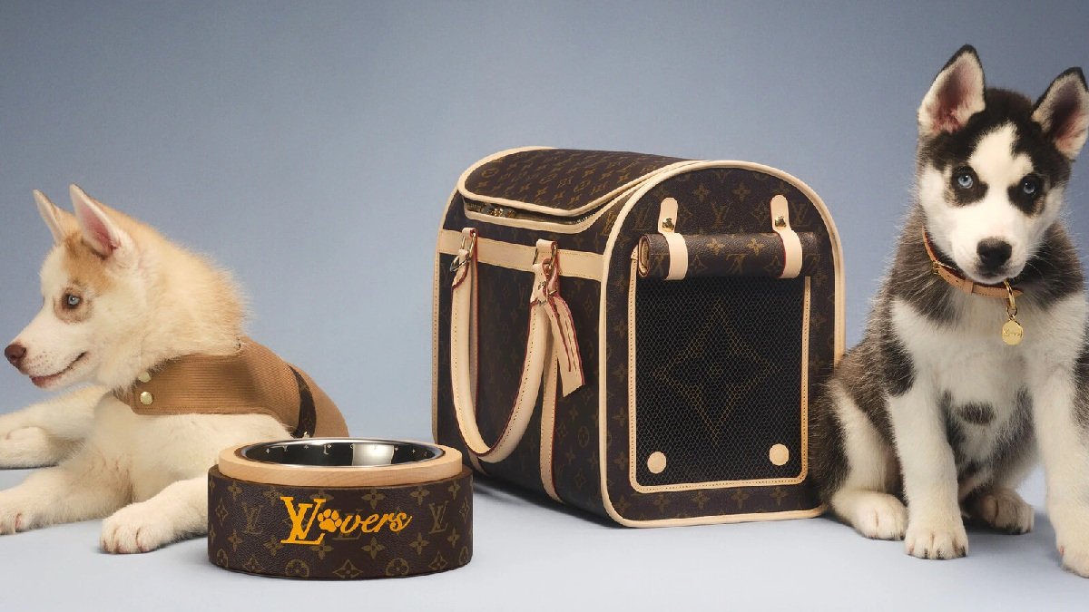 Louis Vuitton viaja en &lsquo;business&rsquo; con una l&iacute;nea de lujo para due&ntilde;os y mascotas