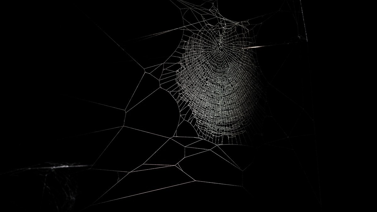 Trabajo, guerra o cat&aacute;strofes clim&aacute;ticas: a qu&eacute; le teme el consumidor en Espa&ntilde;a