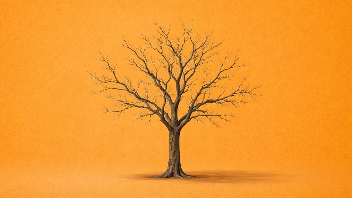 &iquest;Qu&eacute; preocupa a los l&iacute;deres mundiales? La sostenibilidad, ya no a corto plazo