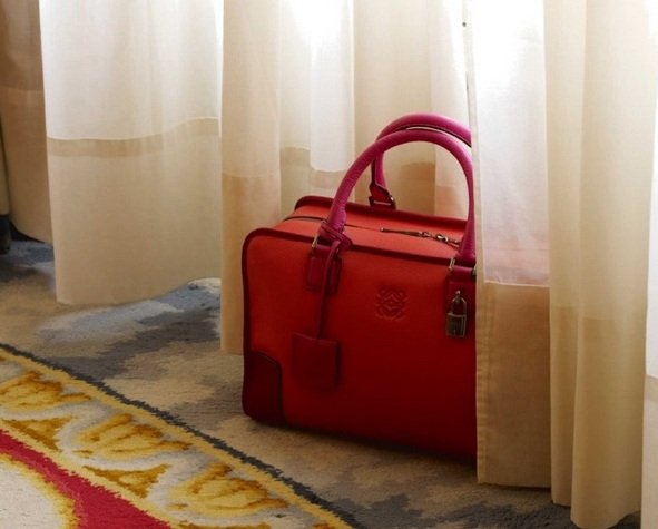 Amazona &lsquo;freestyle&rsquo;