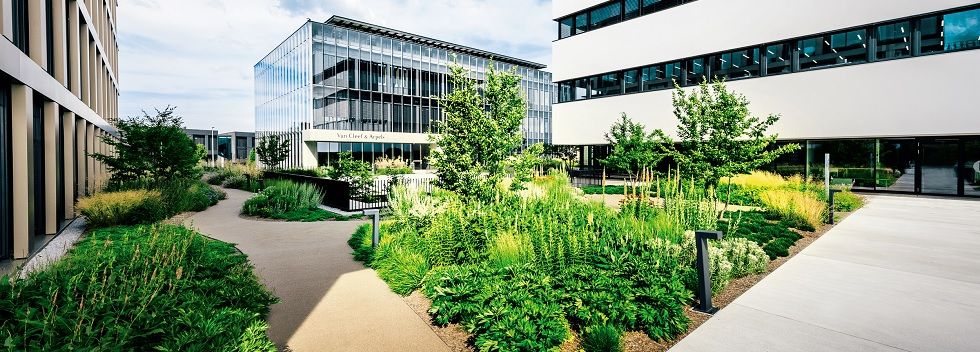 Richemont da m&aacute;s peso a la sostenibilidad con incorporaciones en el consejo y el comit&eacute;