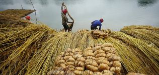 Yute, la fibra &lsquo;eco&rsquo; busca su futuro en el cielo