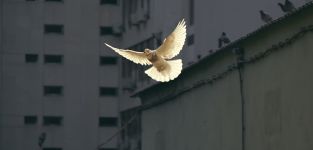 Marcas y proveedores firman la paz: mejores pr&aacute;cticas y m&aacute;s planificaci&oacute;n