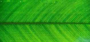 El Covid-19 pinta de verde la moda: las emisiones de gases alcanzan m&iacute;nimos