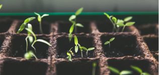 S4Fashion: financiaci&oacute;n europea e impulso del IED para de la moda sostenible