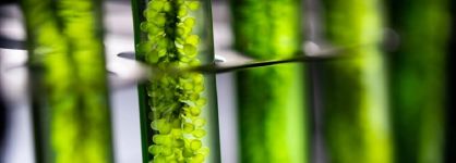 L&rsquo;Or&eacute;al se refuerza en investigaci&oacute;n y entra en el capital de la biotecnolog&iacute;a de Microphyt