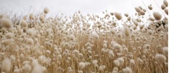 &iquest;Qui&eacute;n es Galy? La nueva apuesta &lsquo;next gen&rsquo; de Inditex