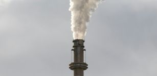 Misi&oacute;n 2025: la nueva coalici&oacute;n de gigantes para alcanzar los objetivos clim&aacute;ticos