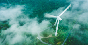 SBTi estudia permitir la compensaci&oacute;n para reducir el impacto en la cadena de suministro