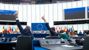 Del &lsquo;green&rsquo; al &lsquo;grey&rsquo;: la UE cede y relaja la ley