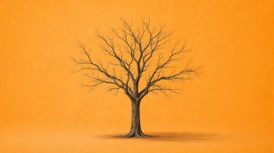 &iquest;Qu&eacute; preocupa a los l&iacute;deres? La sostenibilidad, ya no