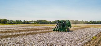 Hugo Boss compromete 500.000 euros para impulsar el algod&oacute;n regenerativo en India