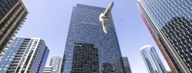 Amazon, a contracorriente: se repliega en India y vende su participaci&oacute;n en Shoppers Shop