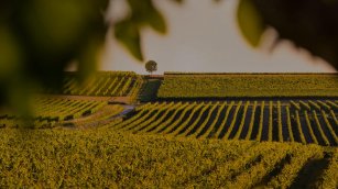 LVMH coloca al director general de Dior al frente de Hennesy en plenos recortes de plantilla